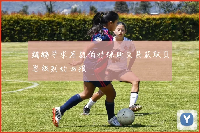 鹈鹕寻求用赫伯特琼斯交易获取贝恩级别的回报