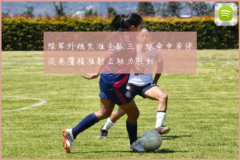 绿军外线失准全队三分球命中率惨淡老鹰精准射击助力胜利