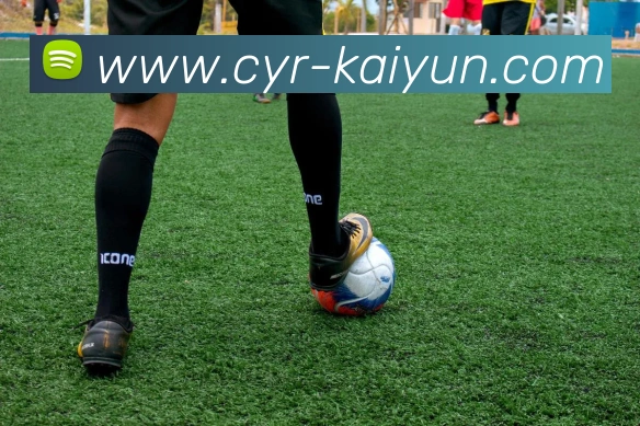 App Interface Preview