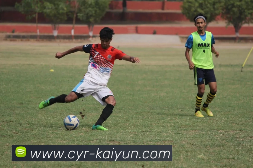 开云足球APP 封面图