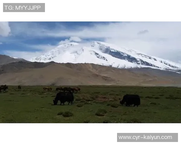 王秋明谈高原适应性问题强调自我反思与客观因素的平衡分析 王秋明谈高原适应性问题强调自我反思与客观因素的平衡分析